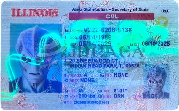 Illinois CDL UV